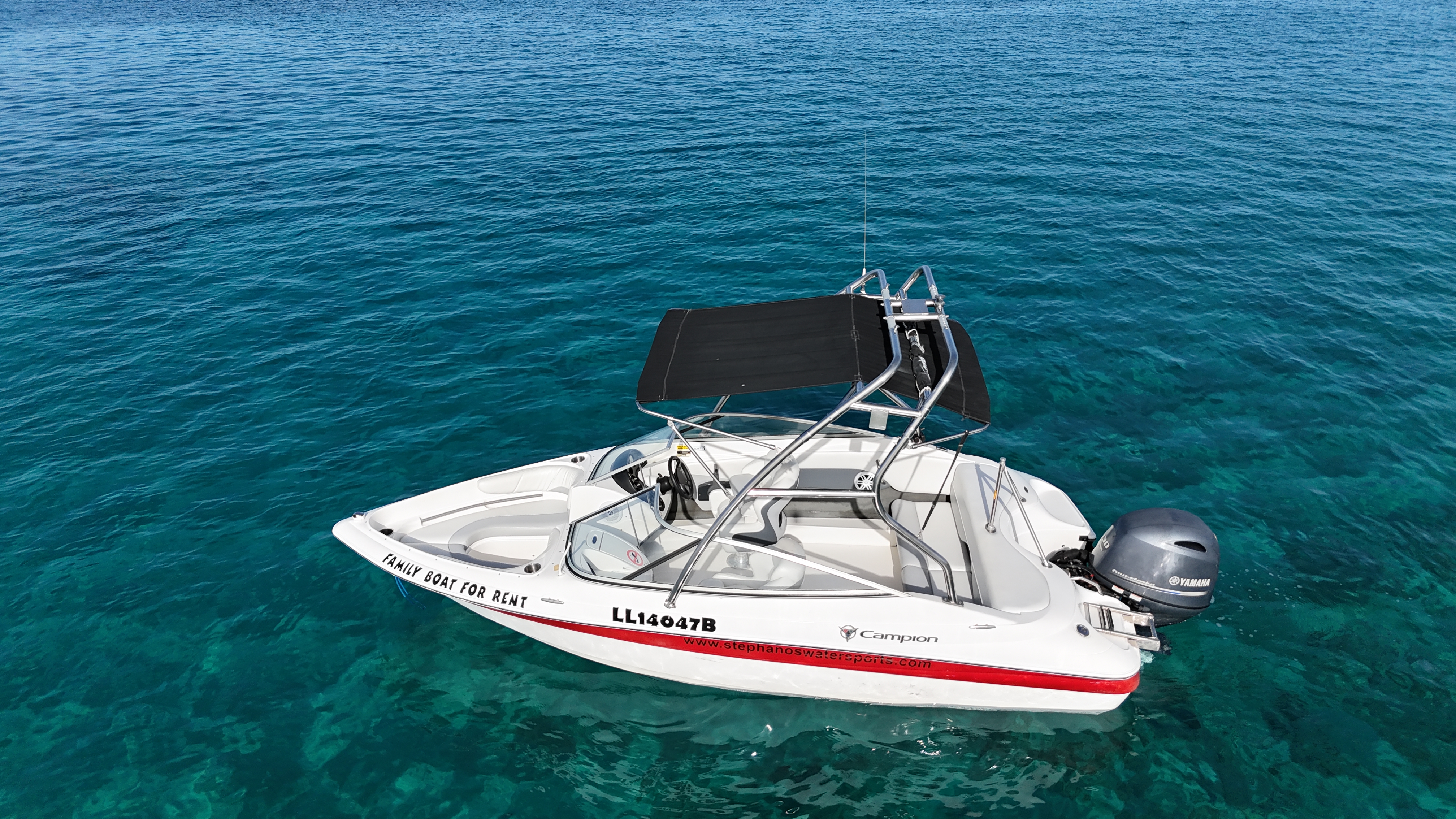 Campion Sport 1